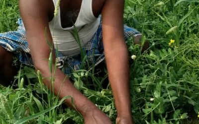 कीट नियंत्रण में नवाचार: महिला किसान समूह की उद्यमी पहल