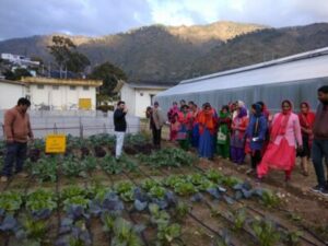 पोषण वाटिका: खेतिहर महिलाओं के लिए पोषण का एक समृद्ध स्रोत