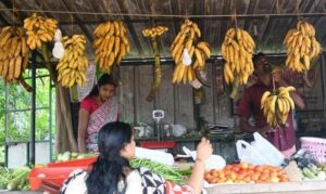 कांजीकुझी केरल की प्रथम रसायन-मुक्त पर्याप्त सब्जी वाला पंचायत