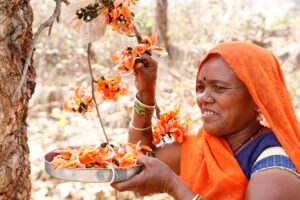 द्वितीयक कृषि से सशक्त होते मध्य भारत के आदिवासी